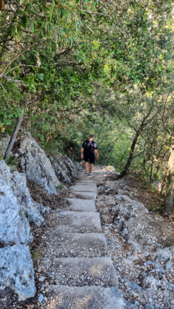 Die zweitblödeste Idee: Den Nietzsche-Weg runter - rauf noch blöder...