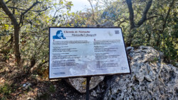 Die zweitblödeste Idee: Den Nietzsche-Weg runter - rauf noch blöder...