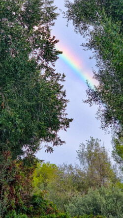 Ausblick vom Campingplatz