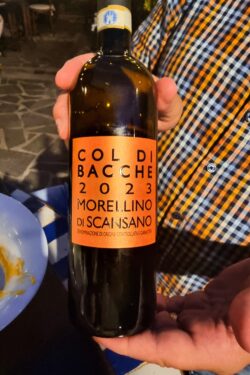 Im traumhafen La terra di Nello - toller Wein!