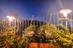 Riserva Naturale Merenderia Degustazione Prodotti e Vendita