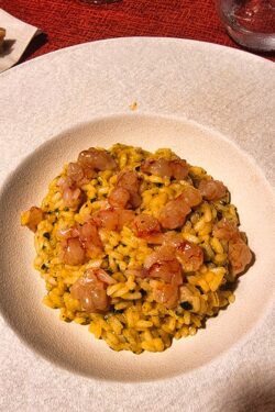 Ristorante Arturo - Risotto