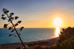 Der Ausblick von der Burg von Castiglione - den Baum kennt sicher jeder :)
