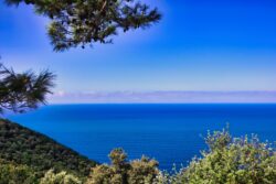 Ausblick von Populonia